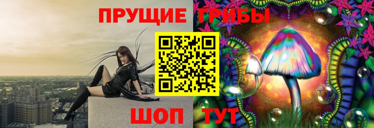 Пыть-Ях  Псилоцибиновые грибы Psilocybine cubensis  Псилоцибиновые грибы MAGIC MUSHROOMS  Вход с VPN 